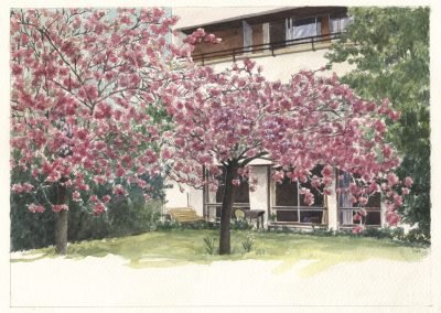 Illustrations pour l'architecture - Aquarelle - Créteil